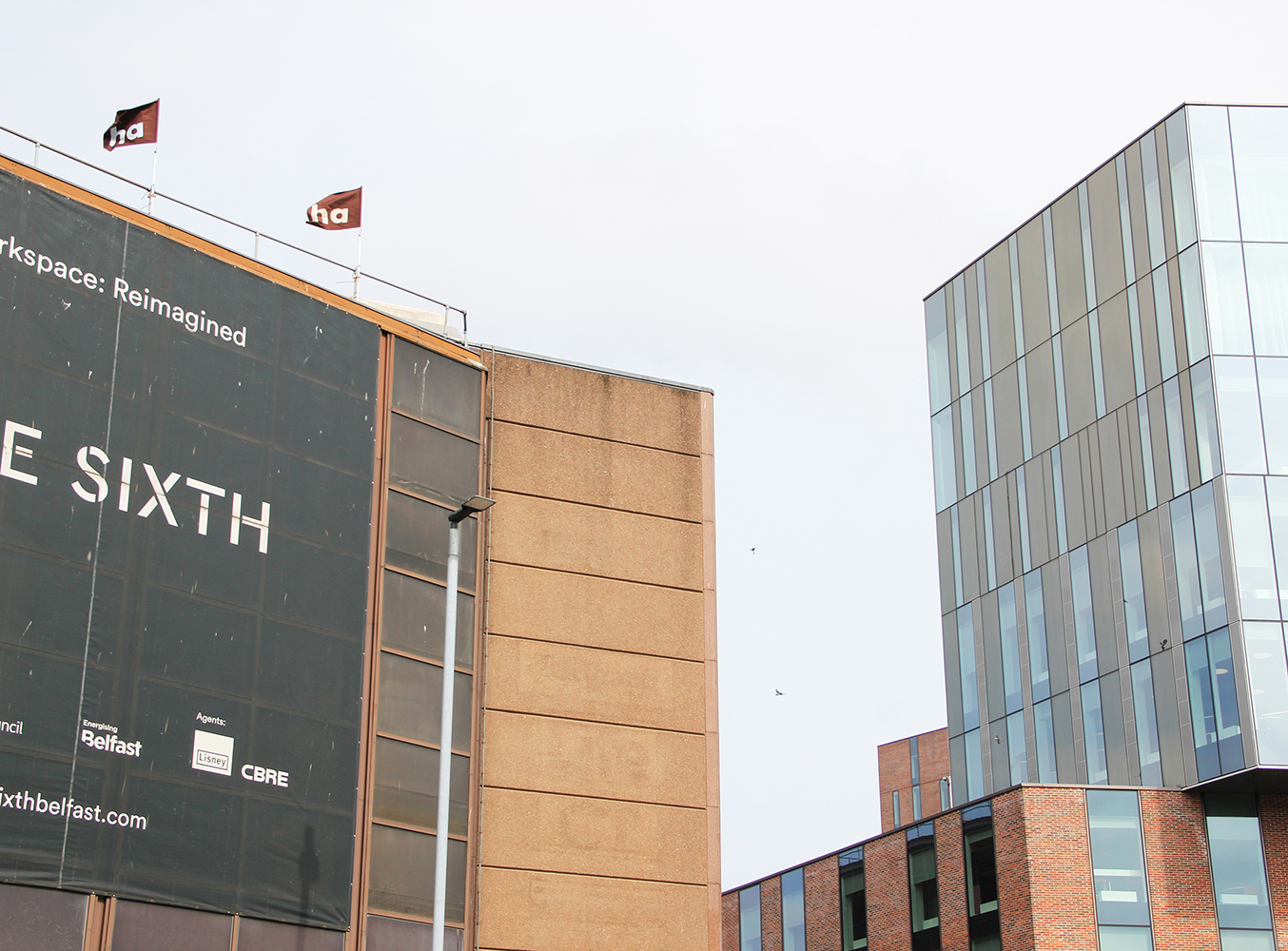 Image of two 'ha ha' flags on the Belfast Telegraph building - clearly displaying 'ha ha'.